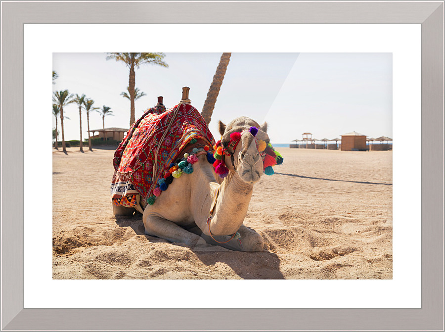 3585 Picture Frame print