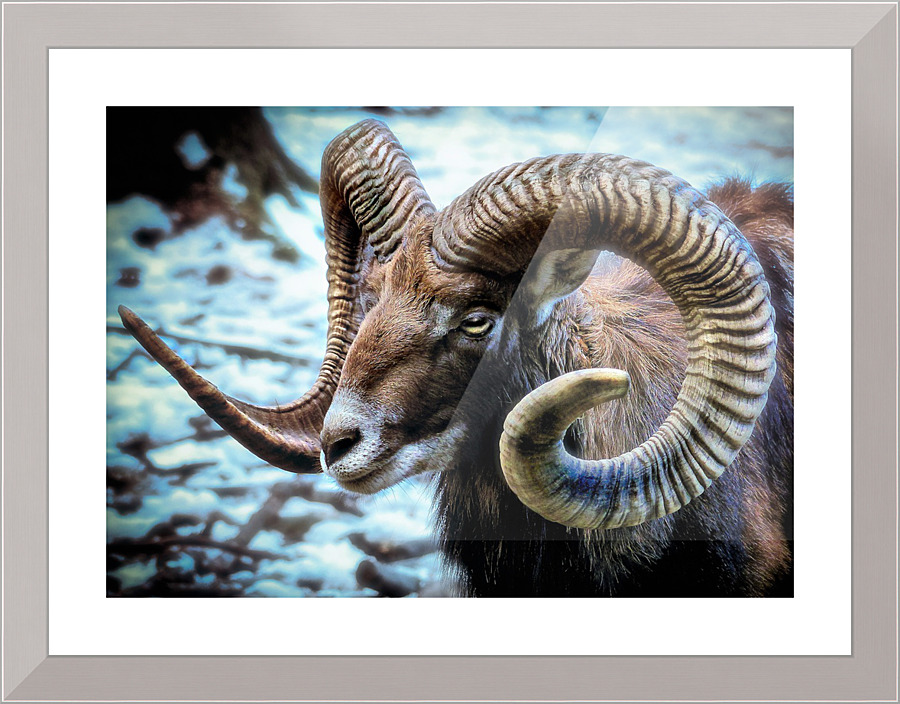 3587 Picture Frame print