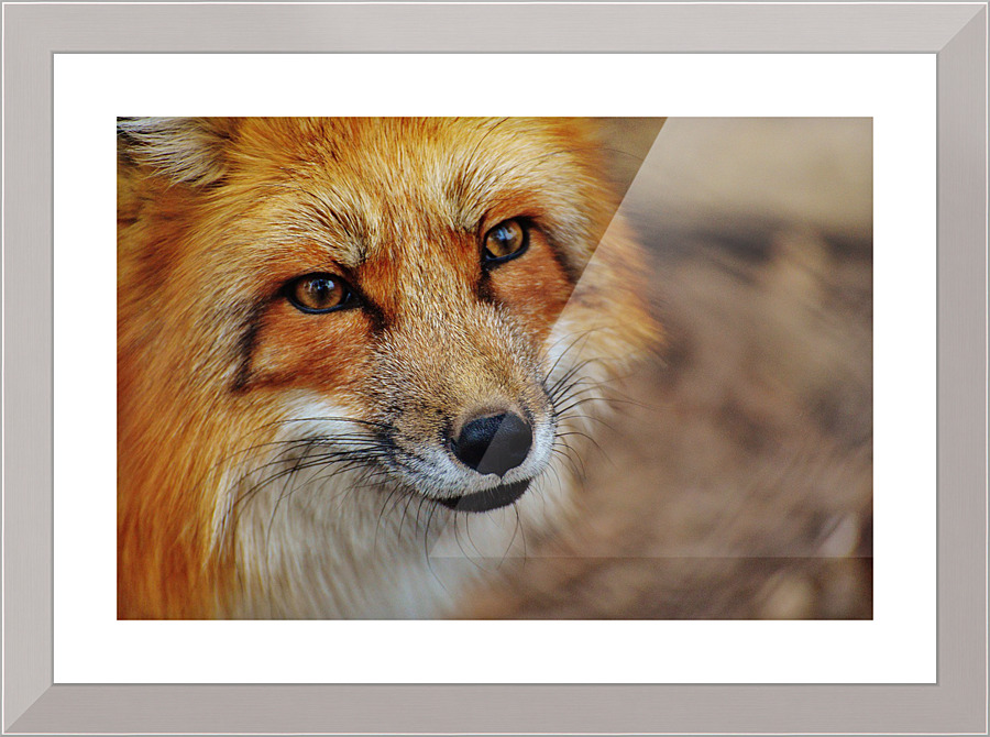 3588 Picture Frame print