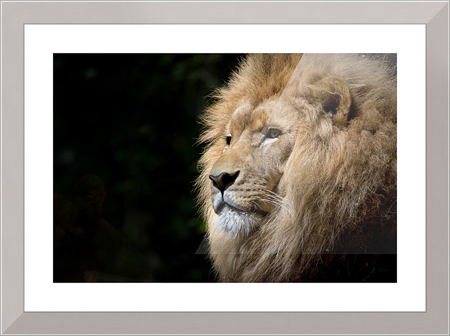 3617 Picture Frame print