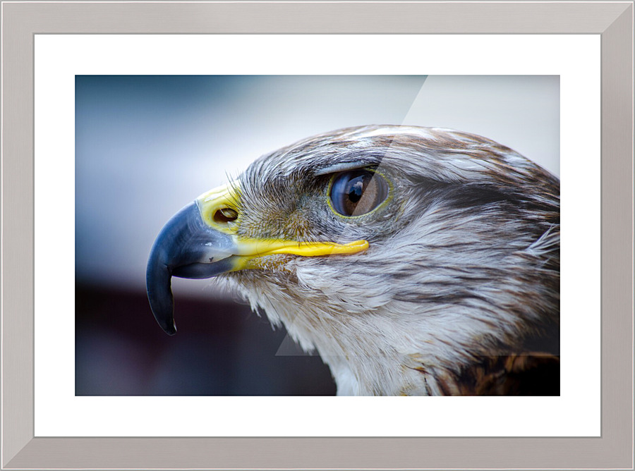 3644 Picture Frame print