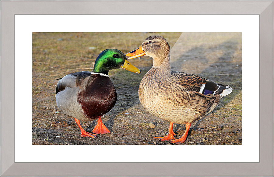 3649 Picture Frame print