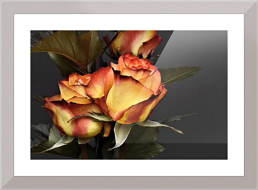 3657 Picture Frame print