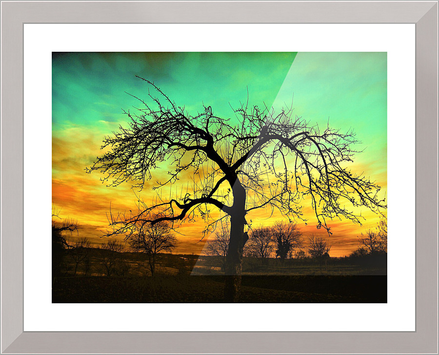 3661 Picture Frame print