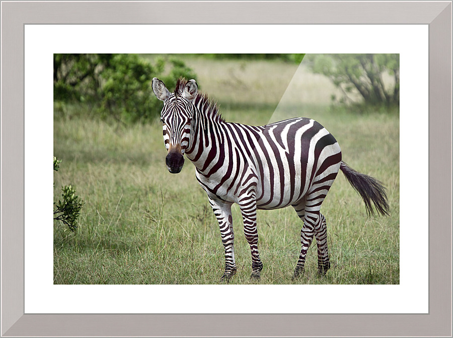 3683 Picture Frame print