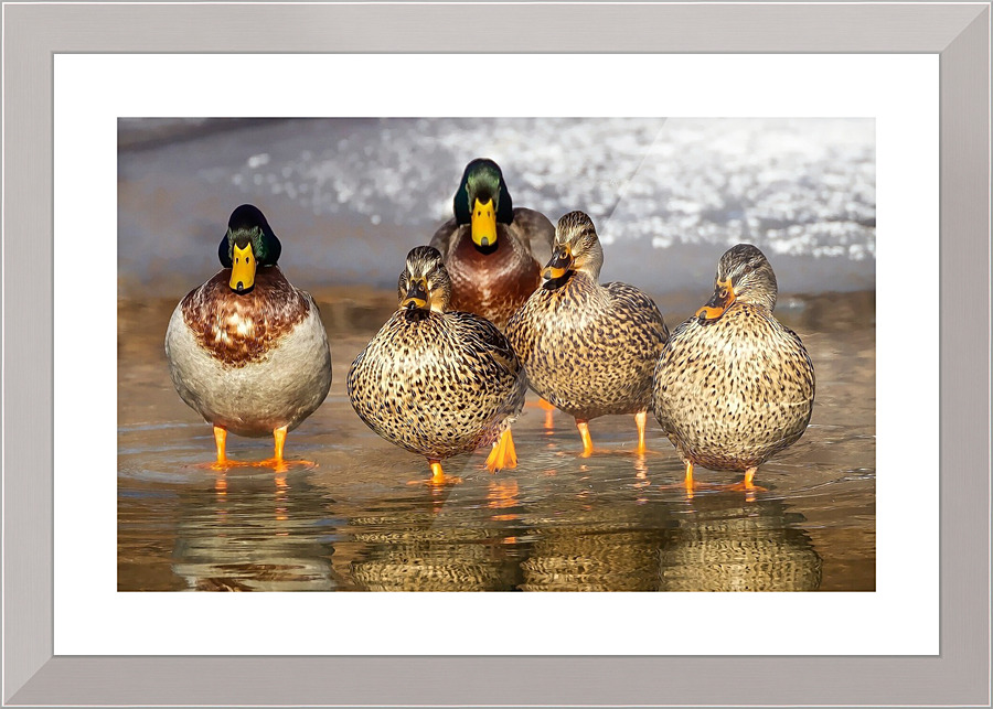 3704 Picture Frame print
