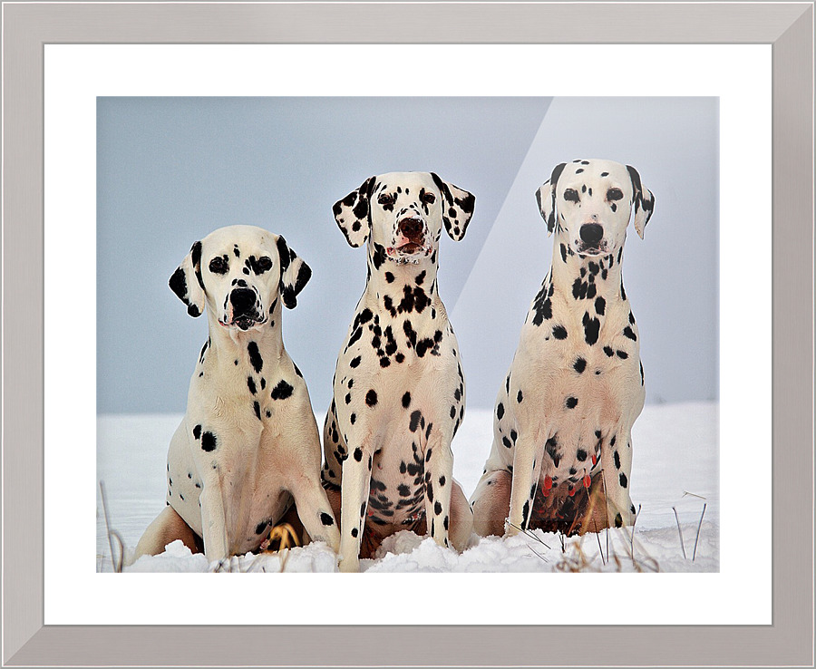 3712 Picture Frame print