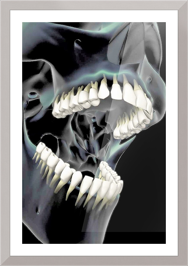 3719 Picture Frame print