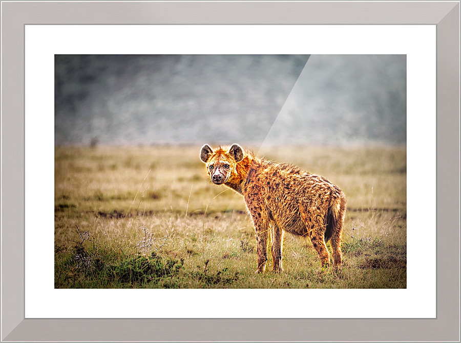 3725 Picture Frame print