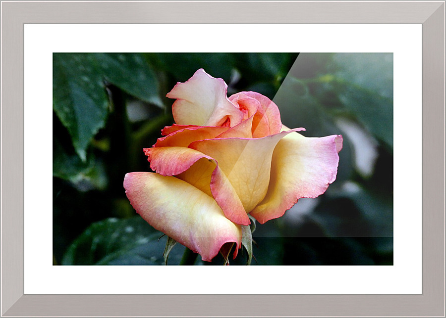 3741 Picture Frame print