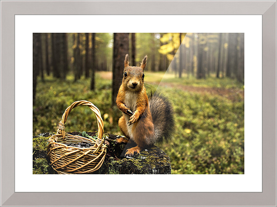 3744 Picture Frame print