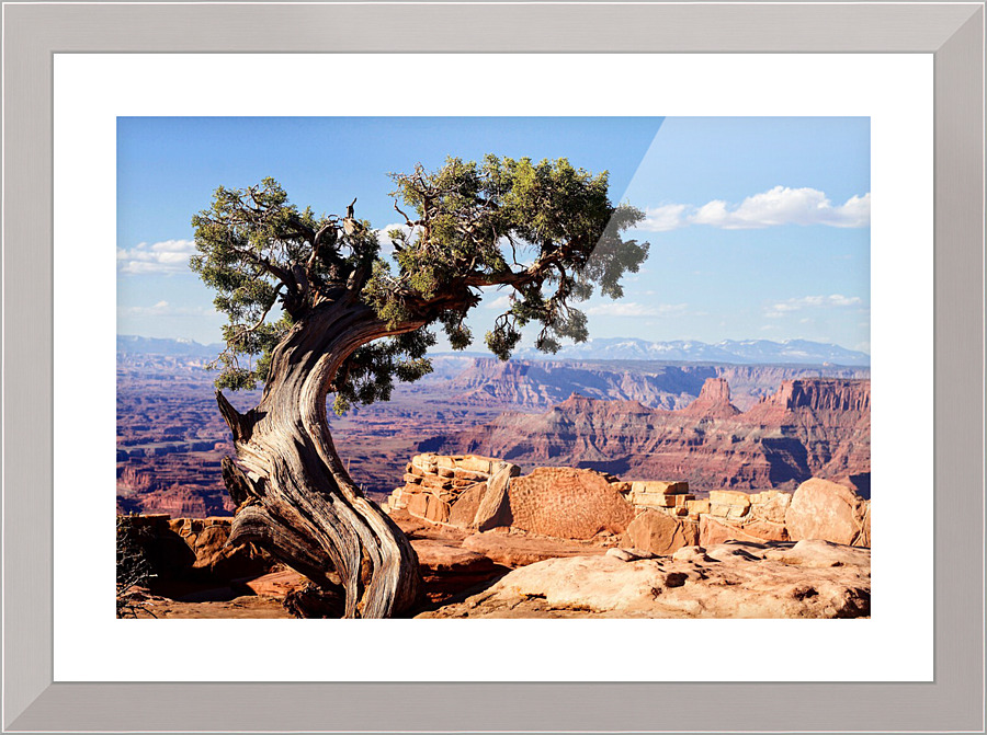 3756 Picture Frame print