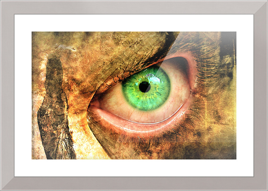 3762 Picture Frame print