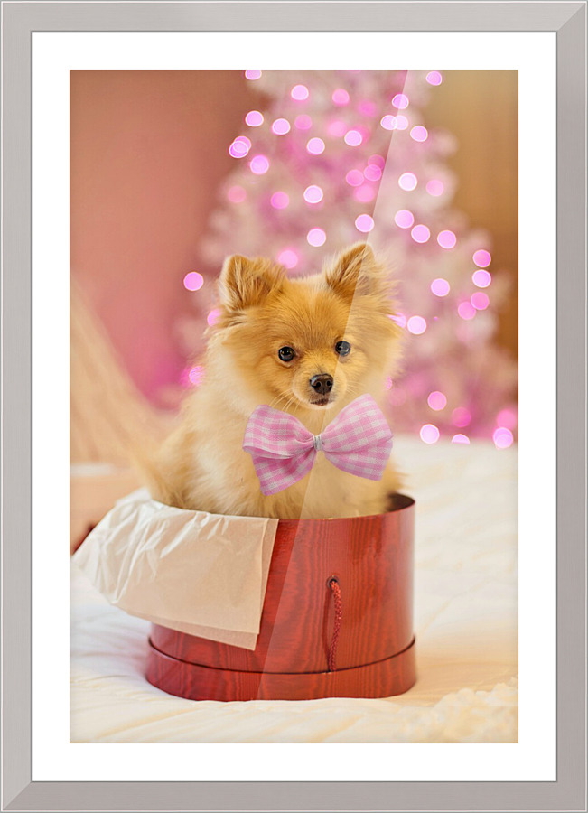 3773 Picture Frame print