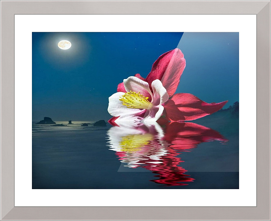 3811 Picture Frame print