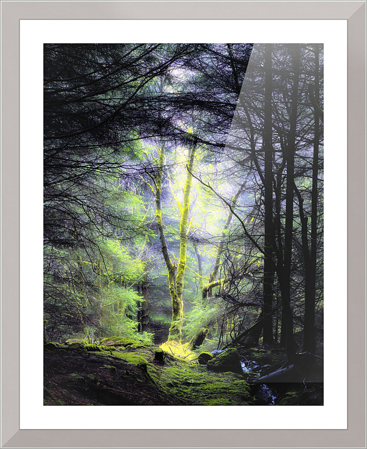 3825 Picture Frame print