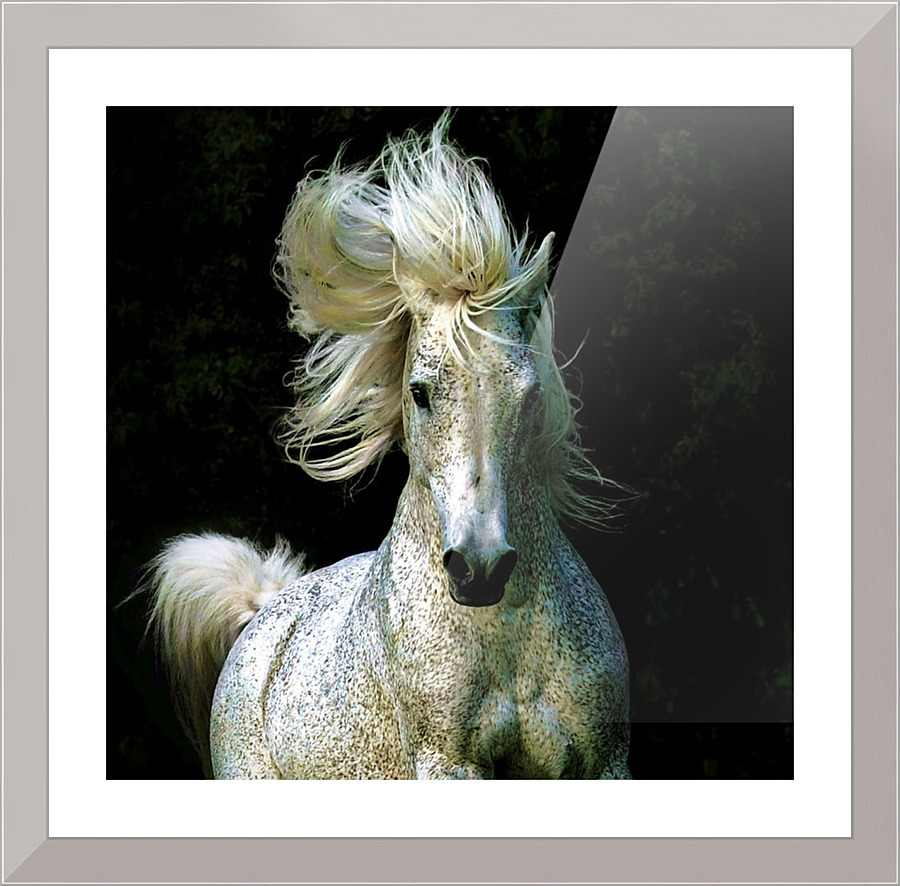 3871 Picture Frame print