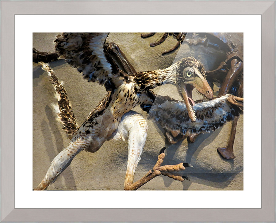 3935 Picture Frame print