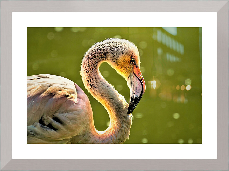 3999 Picture Frame print