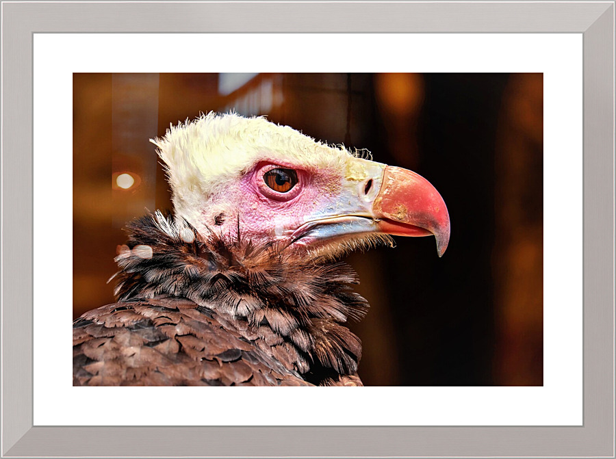 4000 Picture Frame print