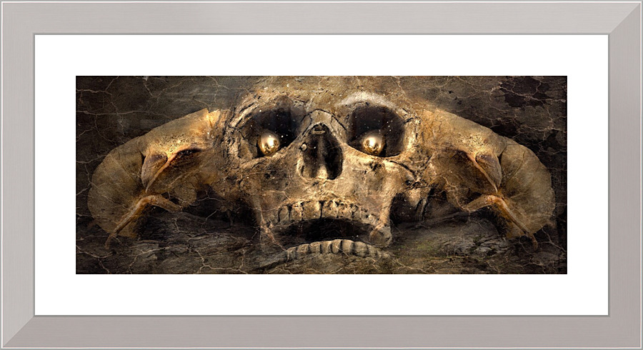 4017 Picture Frame print