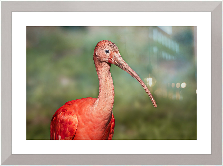4034 Picture Frame print