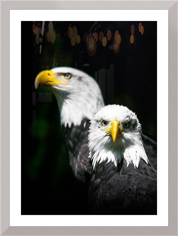4033 Picture Frame print