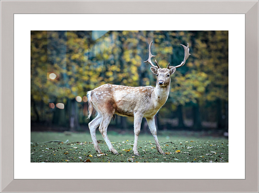4048 Picture Frame print