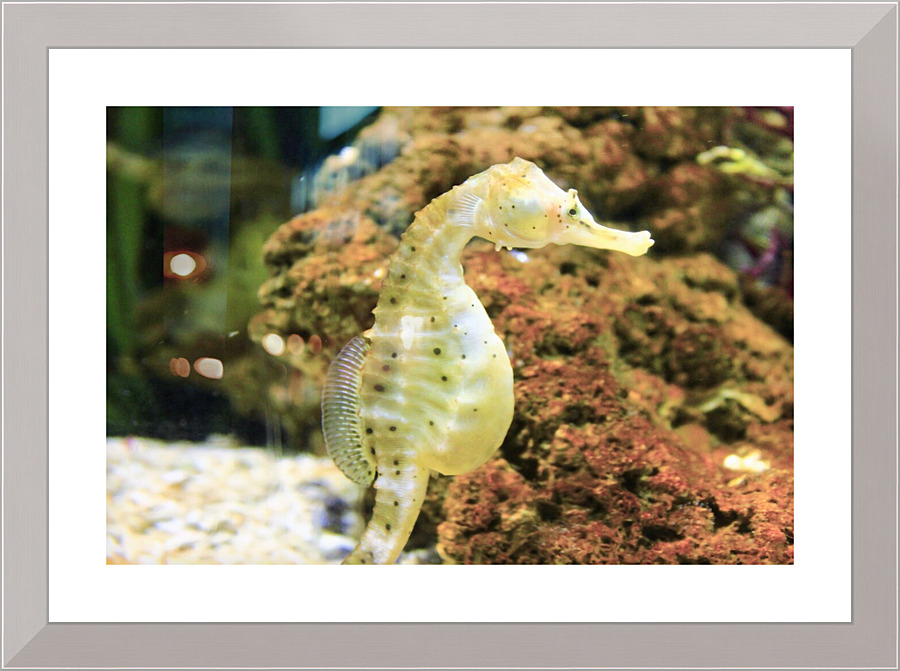 4083 Picture Frame print
