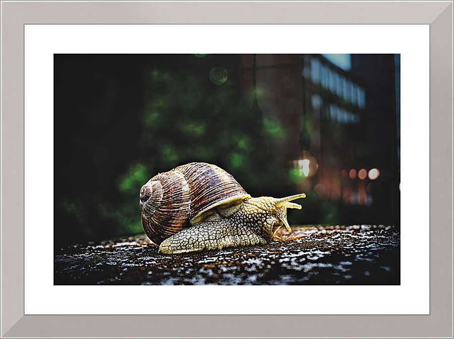 4084 Picture Frame print