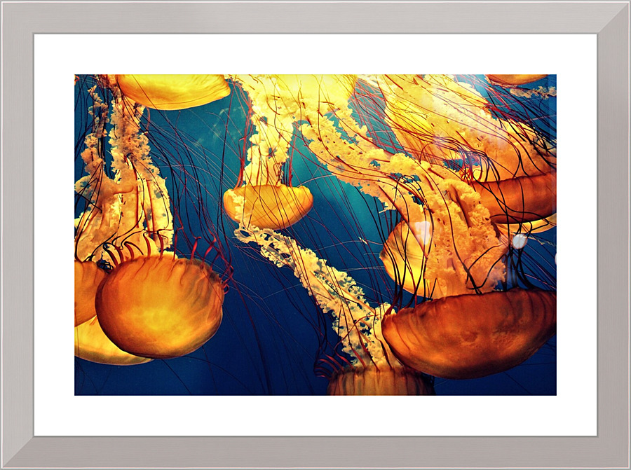 4085 Picture Frame print