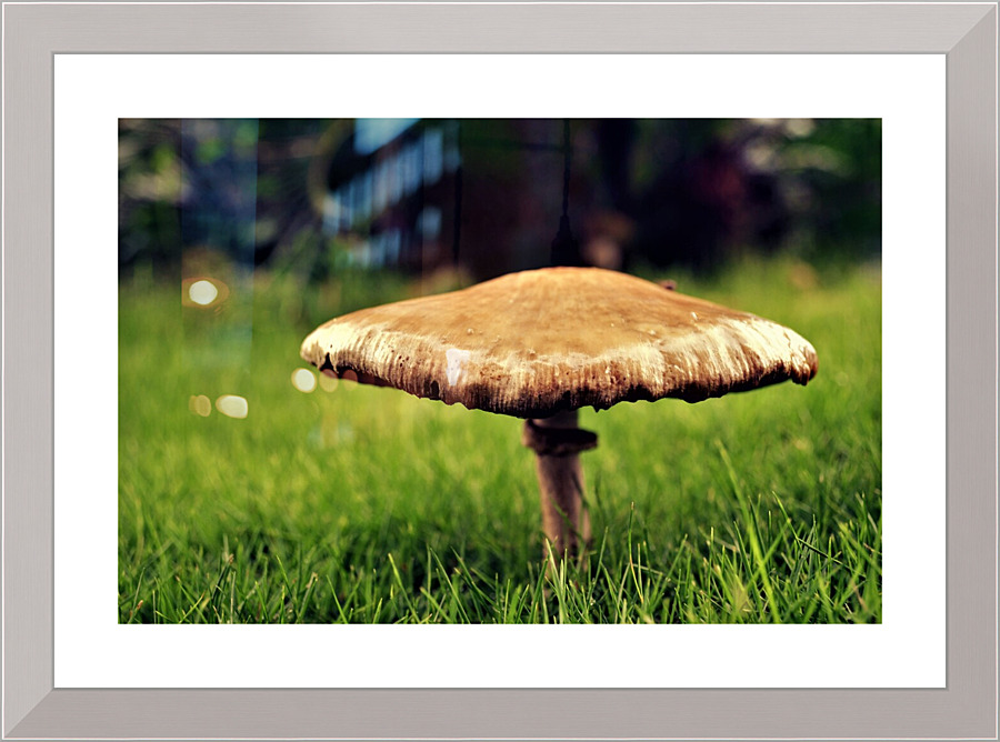 4086 Picture Frame print