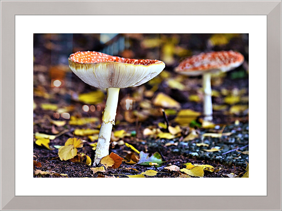 4088 Picture Frame print