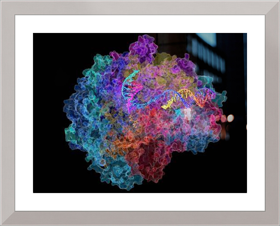 4098 Picture Frame print
