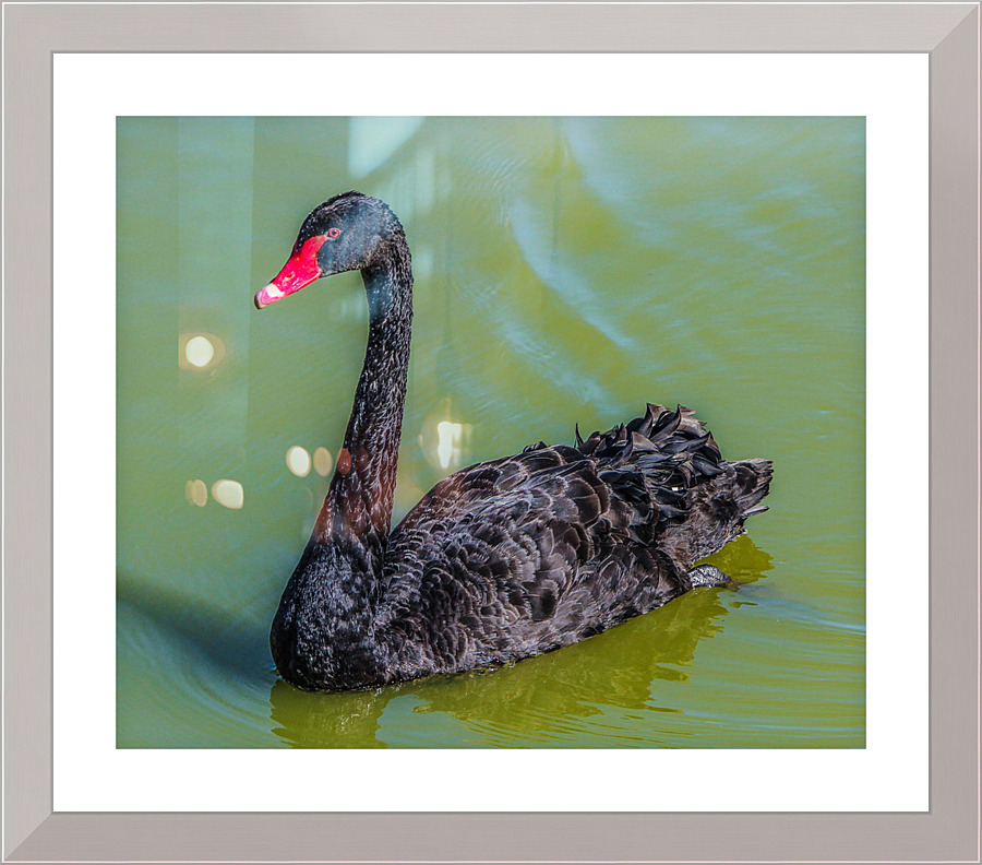4114 Picture Frame print