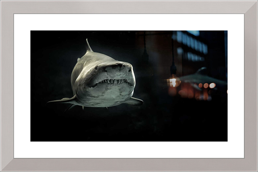 4116 Picture Frame print