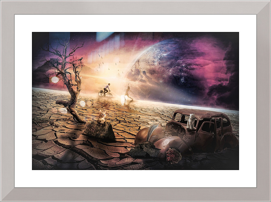 4117 Picture Frame print
