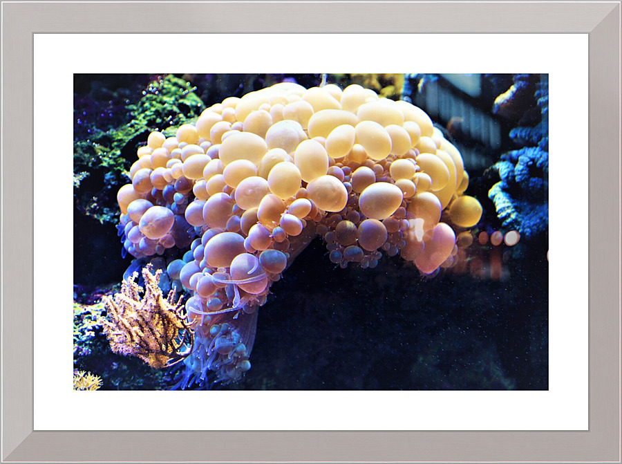 4119 Picture Frame print