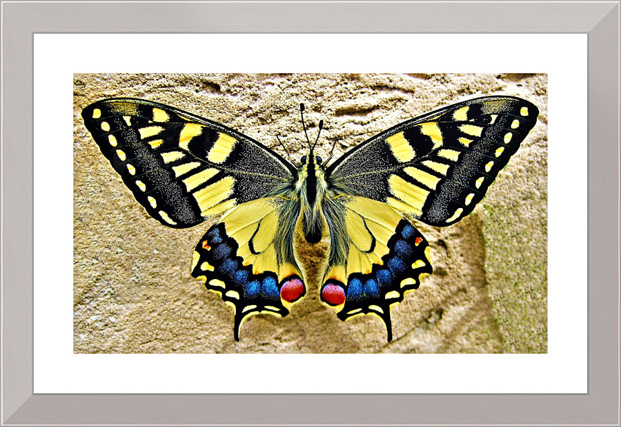 4139 Picture Frame print