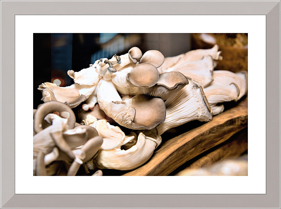 4165 Picture Frame print
