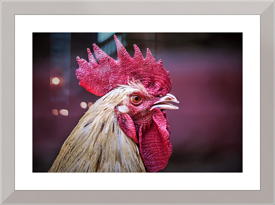 4166 Picture Frame print