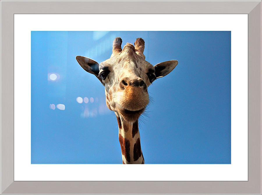 4167 Picture Frame print