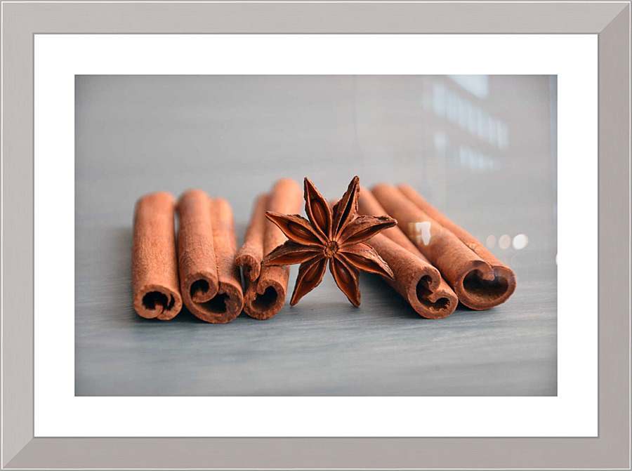 4169 Picture Frame print