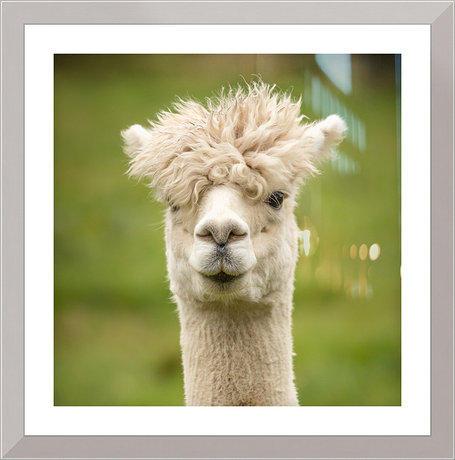 4178 Picture Frame print