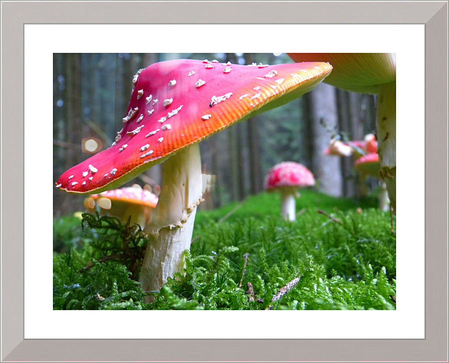 4181 Picture Frame print
