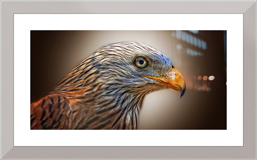 4184 Picture Frame print