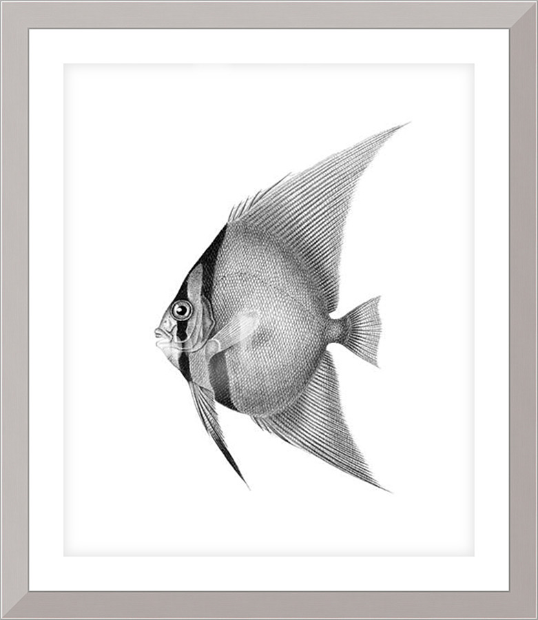 4187 Picture Frame print