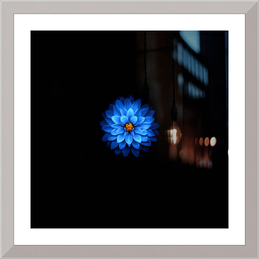4200 Picture Frame print