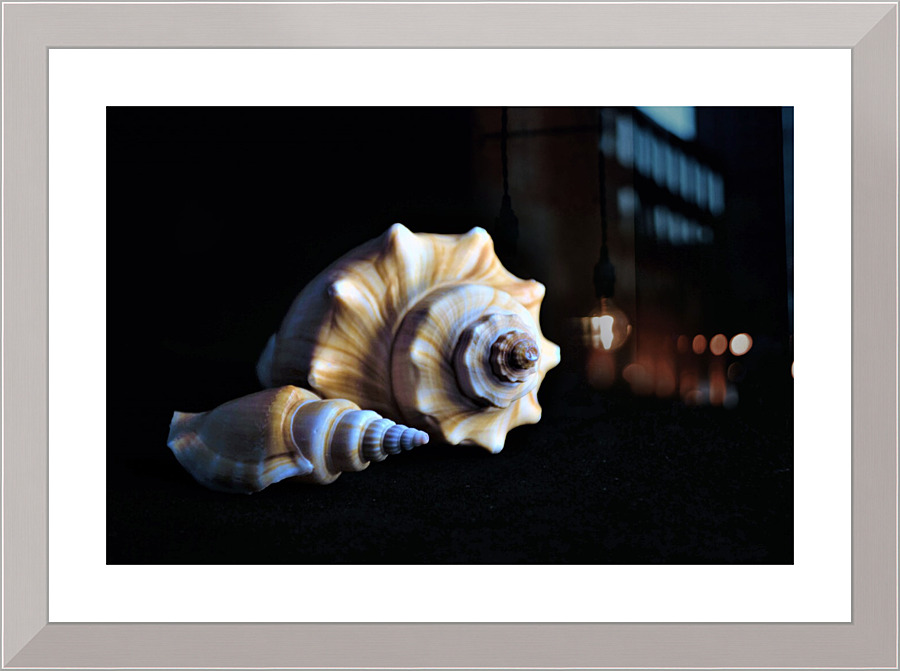 4201 Picture Frame print