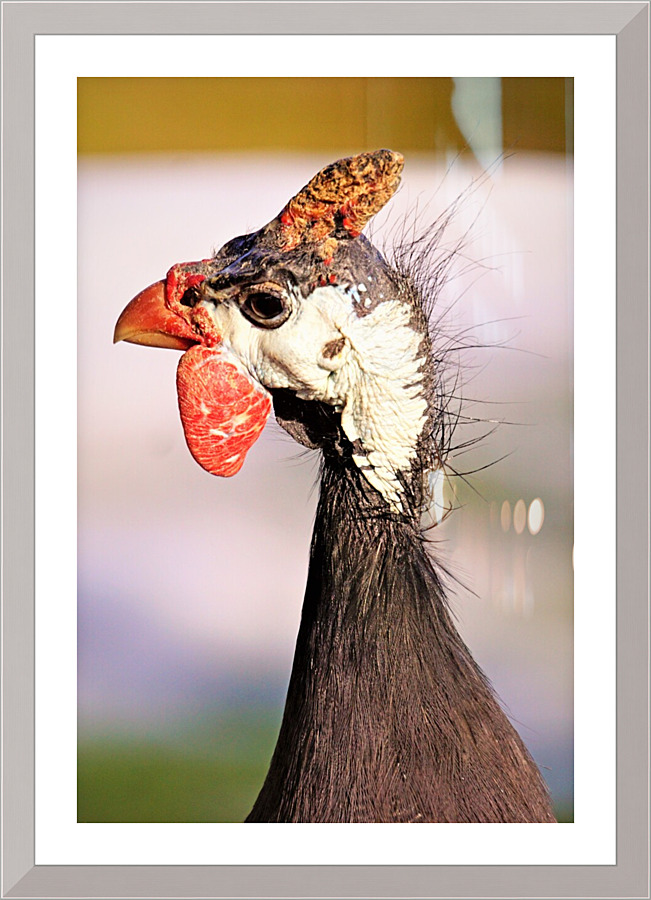 4206 Picture Frame print